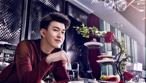 芭莎娱乐孔垂楠,芭莎娱乐独家揭秘，魅力男星背后的故事